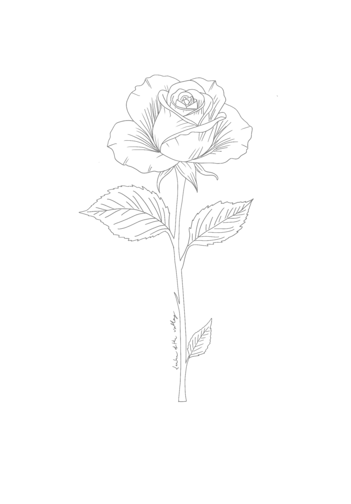 Illustration_sans_titre